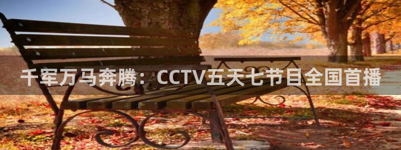 说球帝体育足球篮球五大联赛24小时实时直播：千军万马奔腾：CCTV五天七节目全国首播