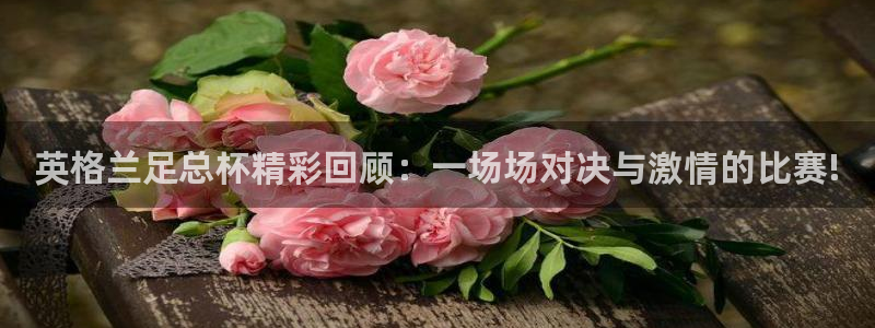 说球帝直播官网下载：英格兰足总杯精彩回顾：一场场对决与激情的比赛!