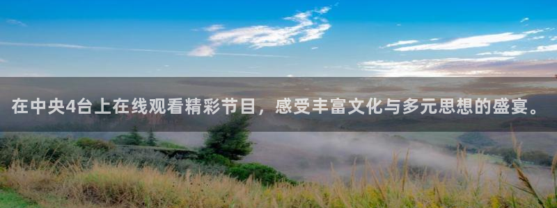 说球帝直播赛事直播：在中央4台上在线观看精彩节目，感受丰富文化与多元思想的盛宴。
