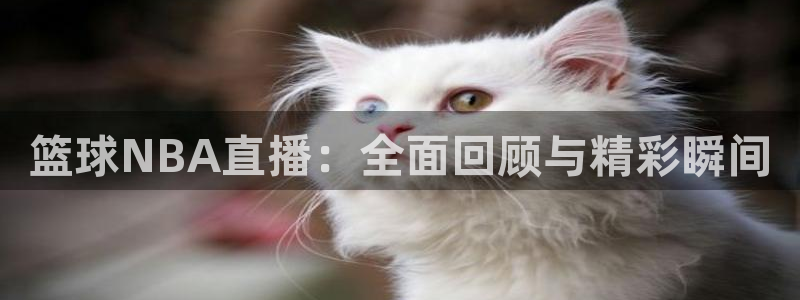 说球帝直播在线免费观看：篮球NBA直播：全面回顾与精彩瞬间