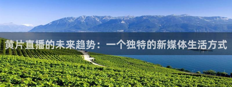 说球帝nba直播在线观看：黄片直播的未来趋势：一个独特的新媒体生活方式