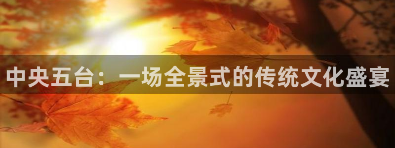 nba直播免费观看直播在线说球帝：中央五台：一场全景式的传统文化盛宴
